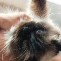 Photo #263440 de MINU