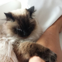 Photo #263441 de MINU