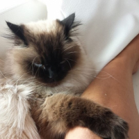 Photo #263442 de MINU