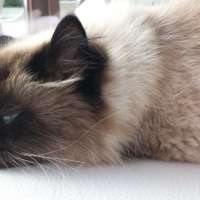 Photo #263443 de MINU
