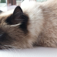 Photo #263444 de MINU