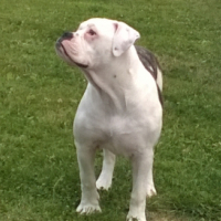 Photo #263488 de Tina