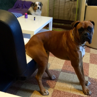 Photo #263530 de Bad