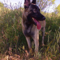 Photo #263573 de JENKO