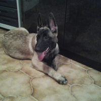 Photo #263576 de JENKO