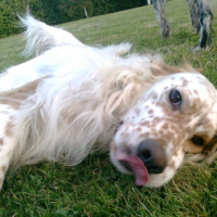Photo #263702 de edji