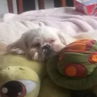 Photo #263740 de Teena