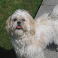 Photo #263754 de Teena