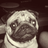 Photo #263761 de ity