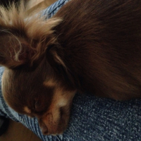 Photo #263803 de Budy