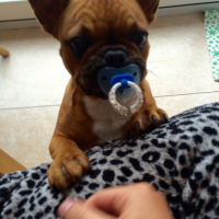 Photo #263853 de Snooky 