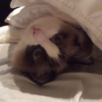 Photo #263871 de Juvia