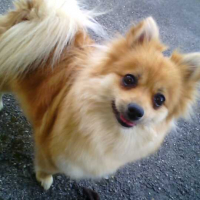 Photo #264039 de Holly
