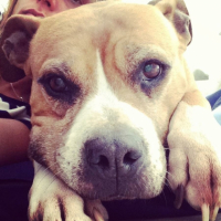 Photo #264076 de Sundy