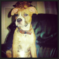 Photo #264077 de Sundy