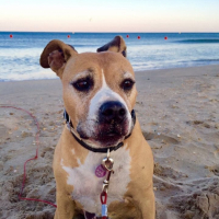 Photo #264079 de Sundy