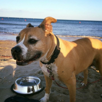Photo #264081 de Sundy