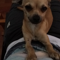 Photo #264094 de Tweeny