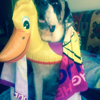 Photo #264173 de Jipsy 