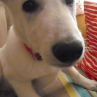 Photo #264193 de Doom