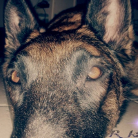 Photo #264237 de R-KaNE