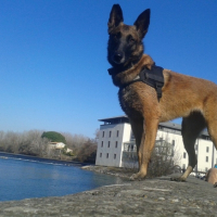 Photo #264239 de R-KaNE