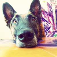 Photo #264240 de R-KaNE