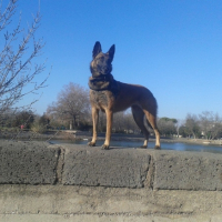 Photo #264241 de R-KaNE
