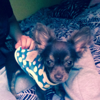 Photo #264244 de Luna