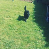 Photo #264263 de Doudou