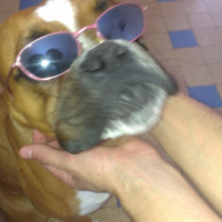 Photo #264299 de ikaya