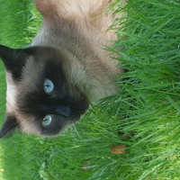 Photo #264320 de Mimi