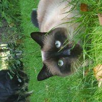 Photo #264322 de Mimi