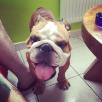 Photo #264403 de Junior