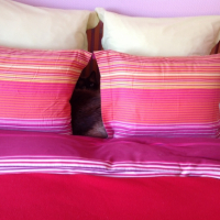 Photo #264413 de Cabotin