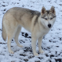 Photo #264415 de Alpha