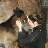 Photo #264660 de Céres