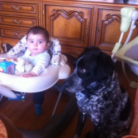 Photo #264688 de chips