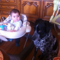 Photo #264689 de chips
