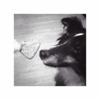 Photo #264720 de Elleïla 
