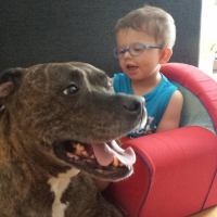 Photo #264738 de Cassius