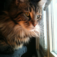 Photo #264810 de Gaia