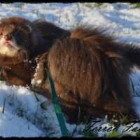 Photo #264829 de Mahito
