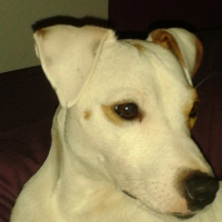 Photo #264871 de HIPOP