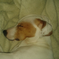 Photo #264872 de HIPOP