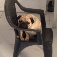 Photo #264918 de Franck 