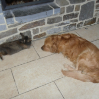 Photo #264951 de Lucky