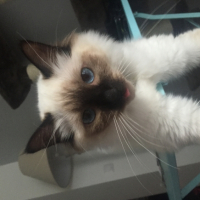 Photo #265021 de Lizzy