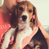 Photo #265089 de Willow