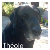 Photo #265314 de Théole